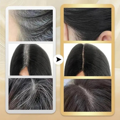 Hair Color Dye Stick Comb, Safe-And Waterproof and Sweat-Proof Hairs Dyes Comb,Instant and Best Hair Care, for Women & Men, Korean Hair Color Easy Application BLACK