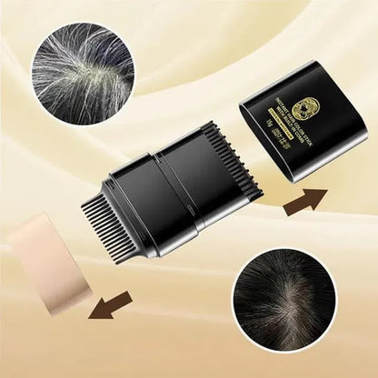 Hair Color Dye Stick Comb, Safe-And Waterproof and Sweat-Proof Hairs Dyes Comb,Instant and Best Hair Care, for Women & Men, Korean Hair Color Easy Application BLACK